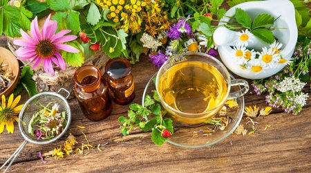 43283049 - cup of herbal tea with wild flowers and various herbs