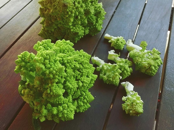 Fotor_158246917682345