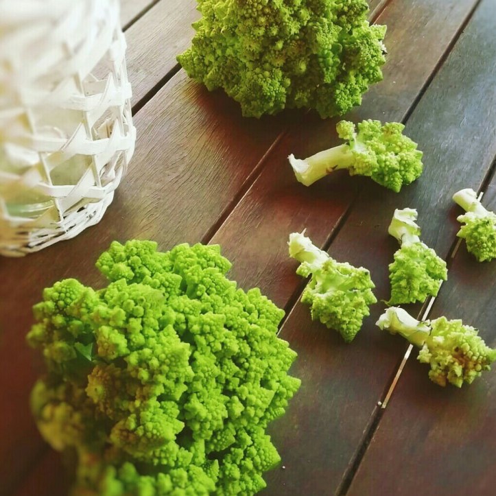 Fotor_158247522284359[1]