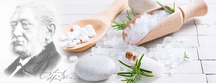 Cabecera-sales-de-shüssler