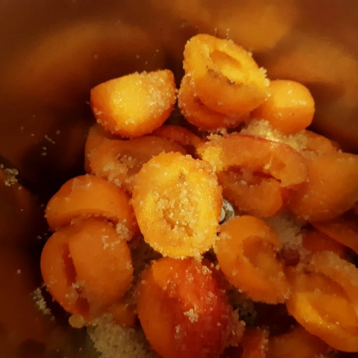 Fotor_159646452501031[1]