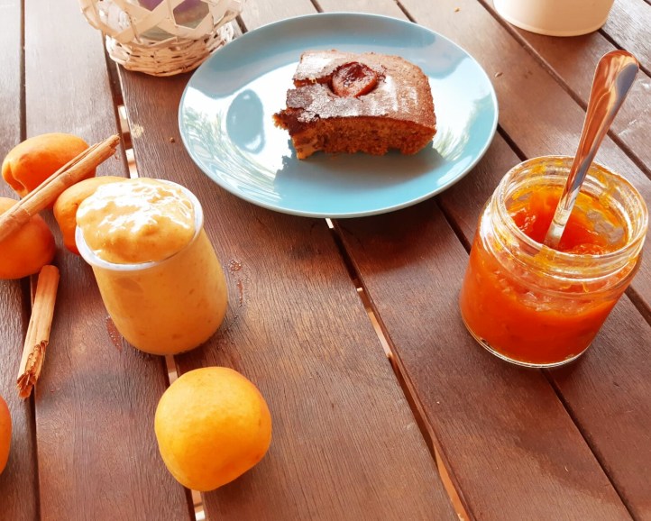 Fotor_159646510334883[1]